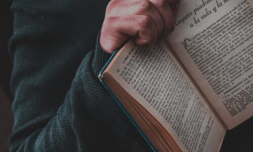 Español: Comunicación, Redacción y Literatura