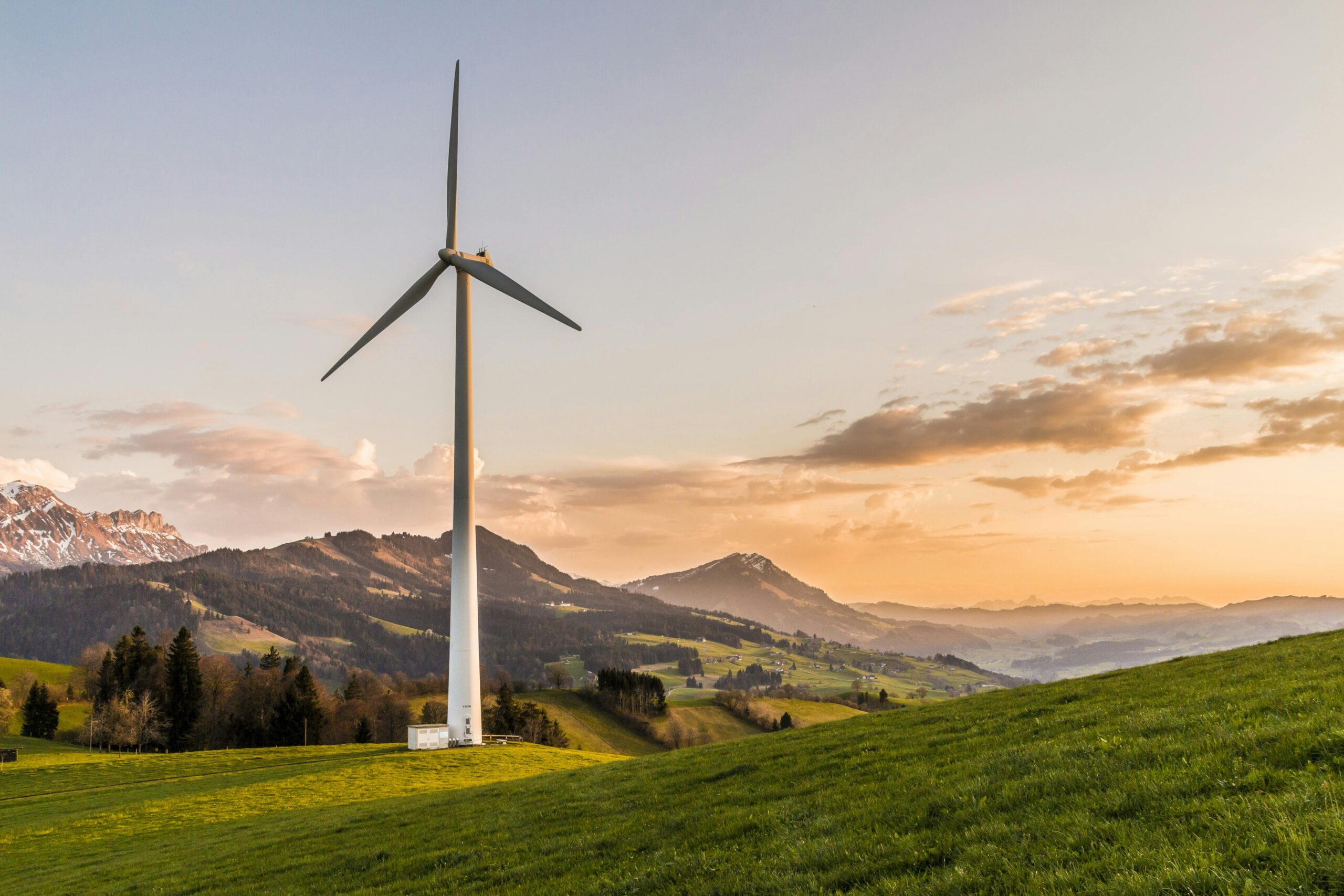Sostenibilidad Ambiental